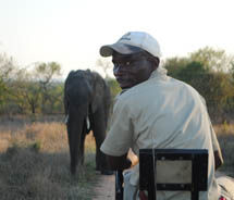 An elephant sighting at Kapama Private Game Reserve // © 2011 Skye Mayring